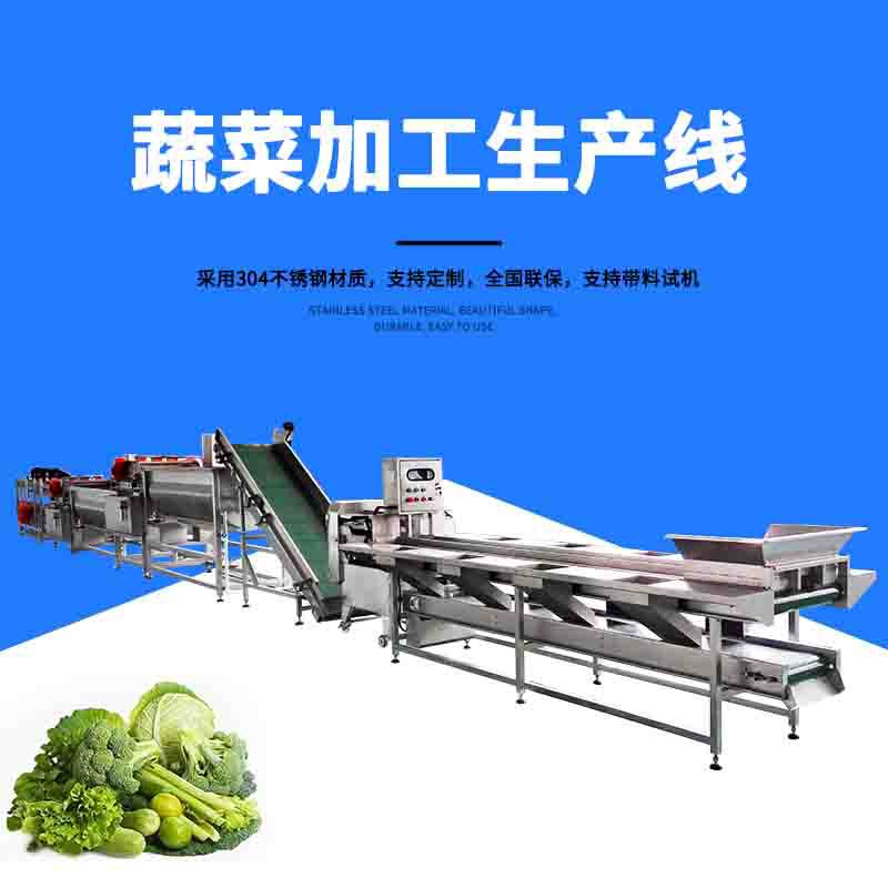 蔬菜清洗加工生產線